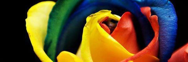 CrysKirby's profile banner image