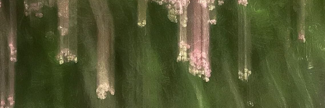 ggsarag's profile banner image