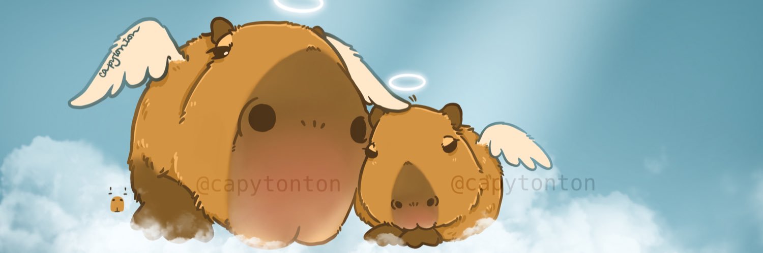 capytonton banner