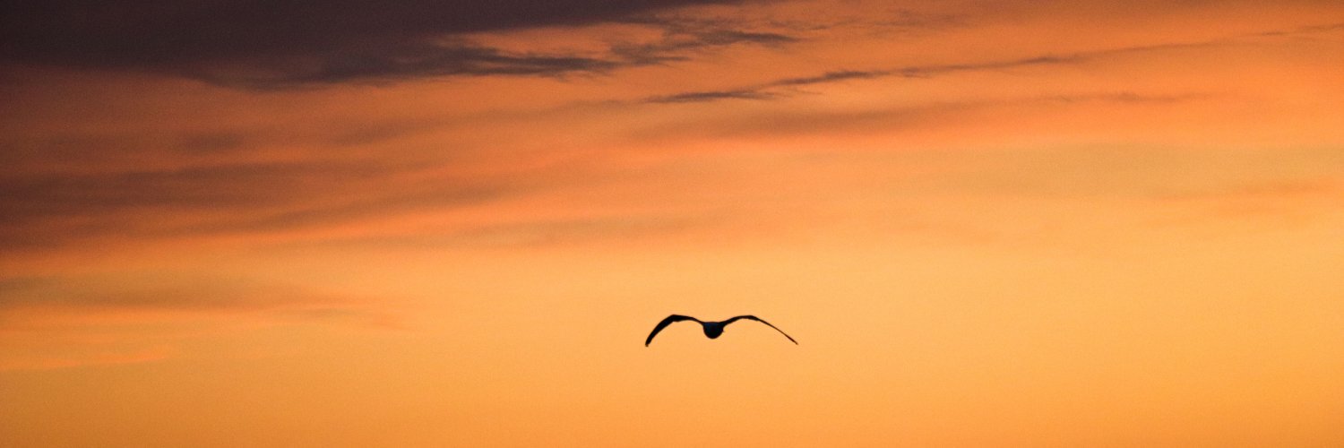 Robert Slater banner