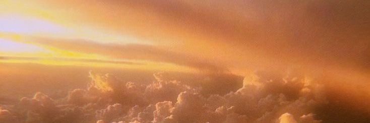 _candacejoy_'s profile banner image