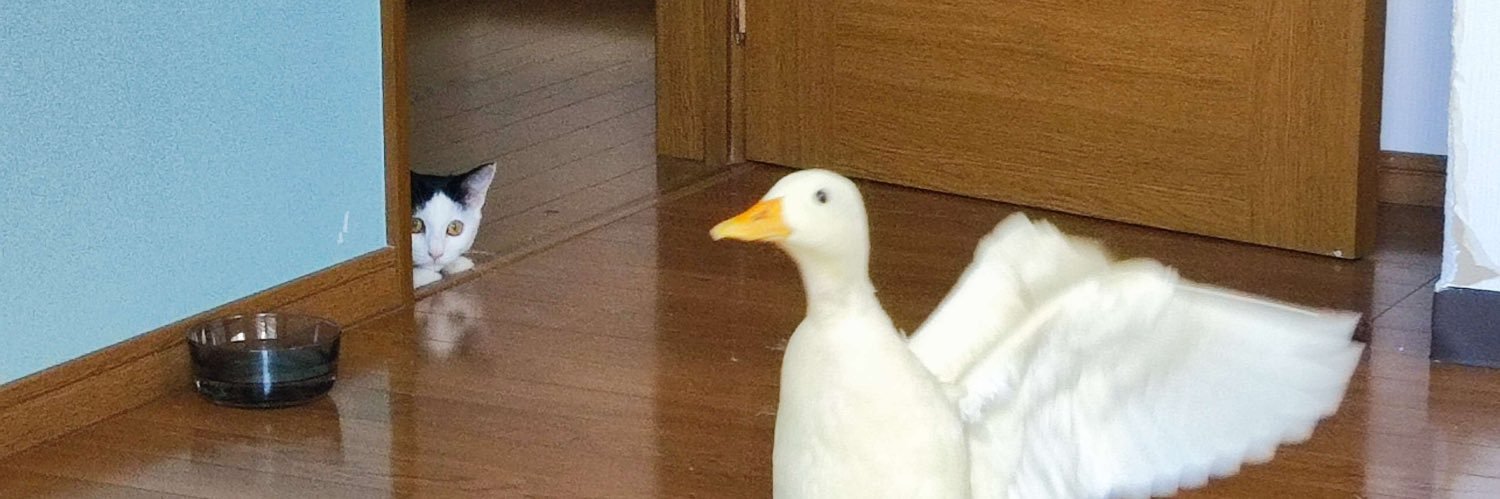 torikagosan4's profile banner image