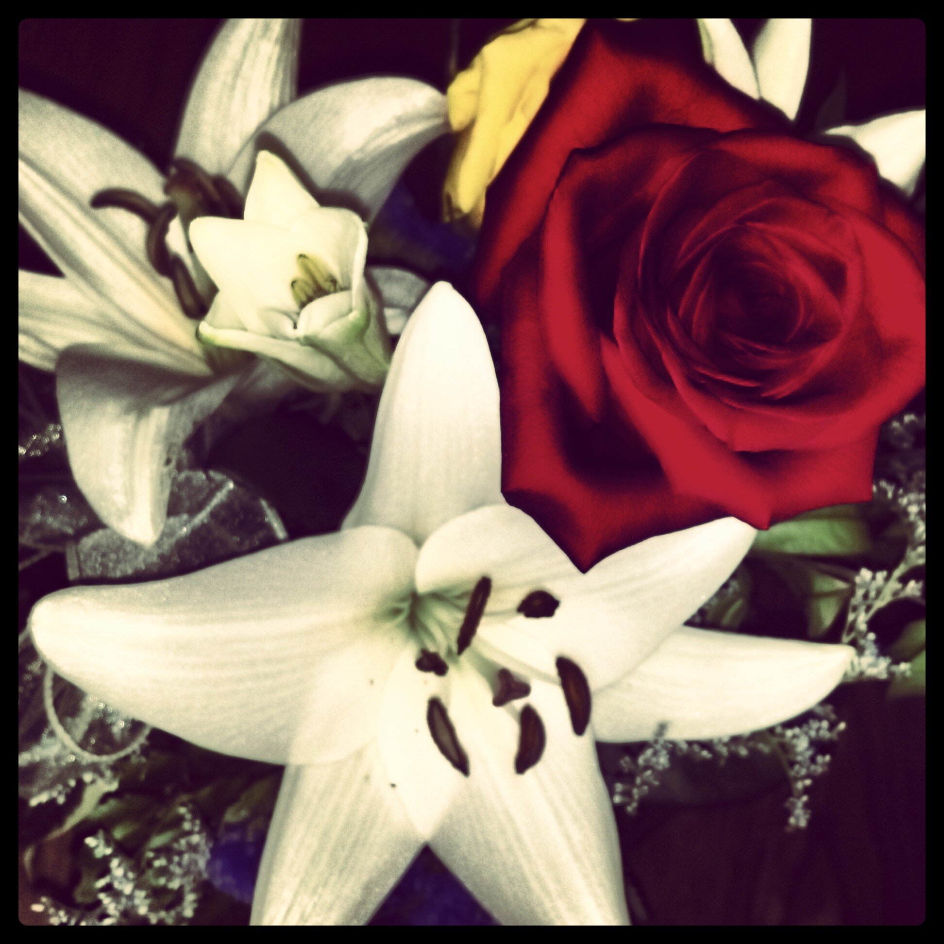 princessmb1017's profile banner image