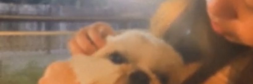 mlncksn's profile banner image