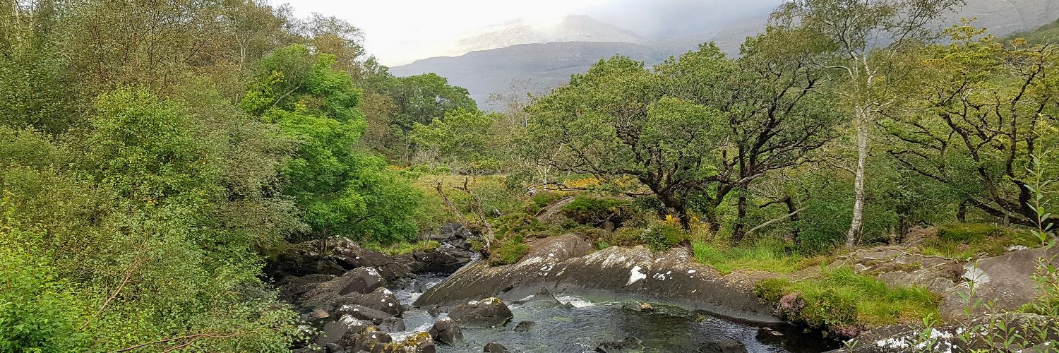 Dr Kris Sales banner