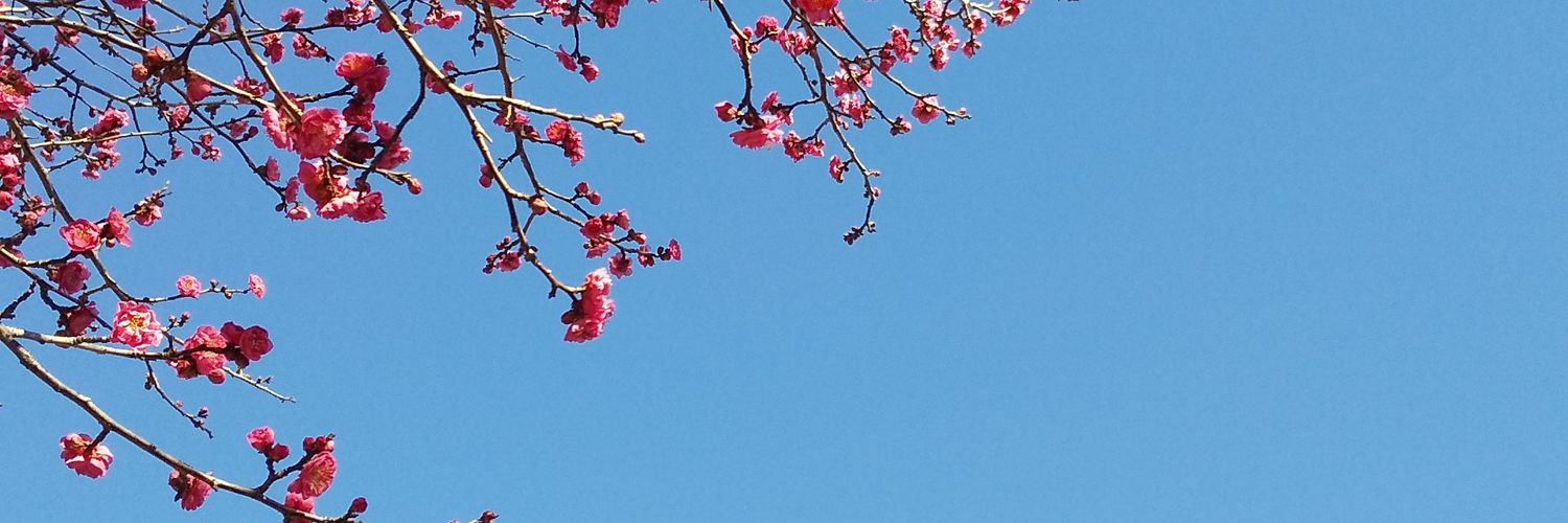 succhan0810's profile banner image