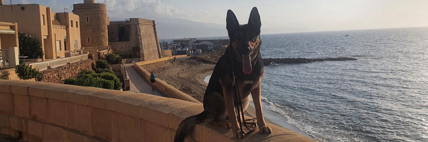 pelaezEnf's profile banner image