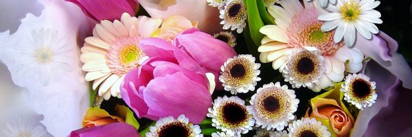 mariaAsmith Profile Banner