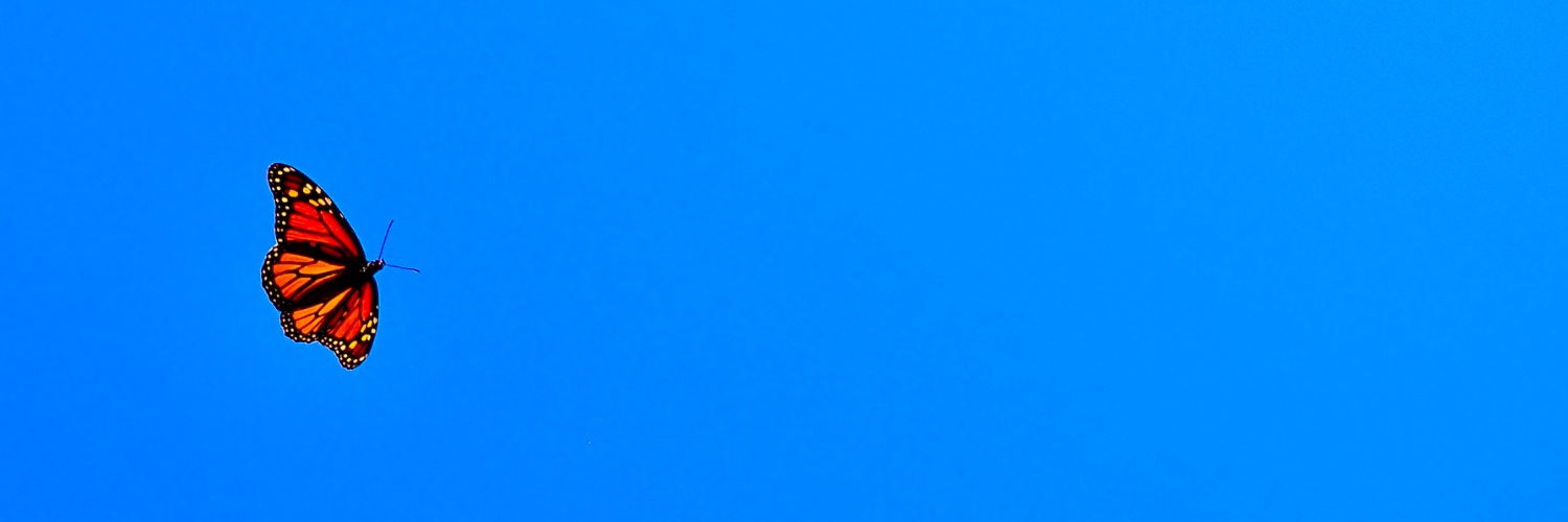 @sfb1348.bsky.social's banner