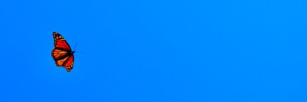 sfb1348 Profile Banner