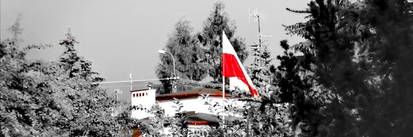 kmieciak_b Profile Banner