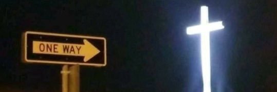 Alli's banner