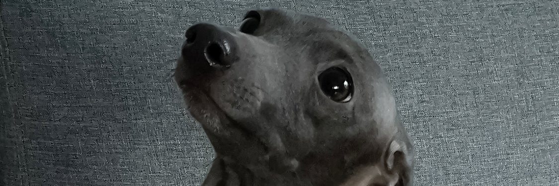 why banner