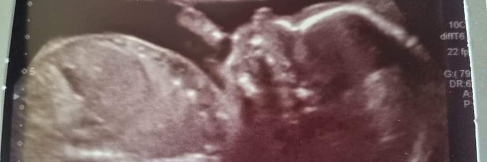 JasonBentley11's profile banner image