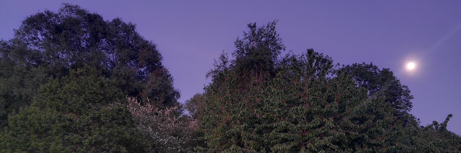 dxri__'s profile banner image