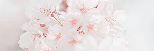 h342457's profile banner image