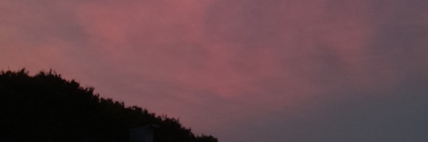 zoeeeguille's profile banner image
