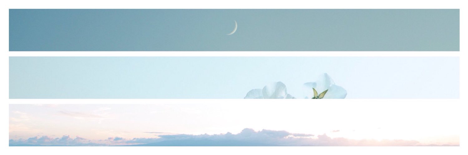 mzns25's profile banner image