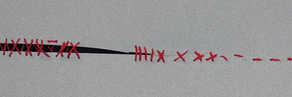 AnaGuerraCFO Profile Banner