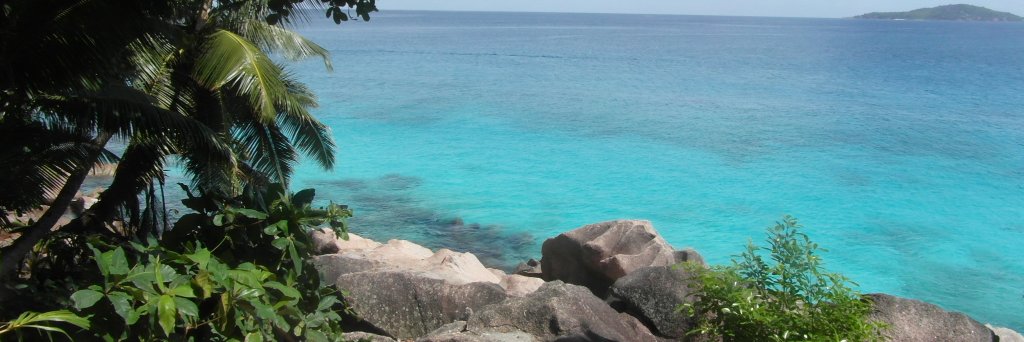 cécile MACAREZ banner