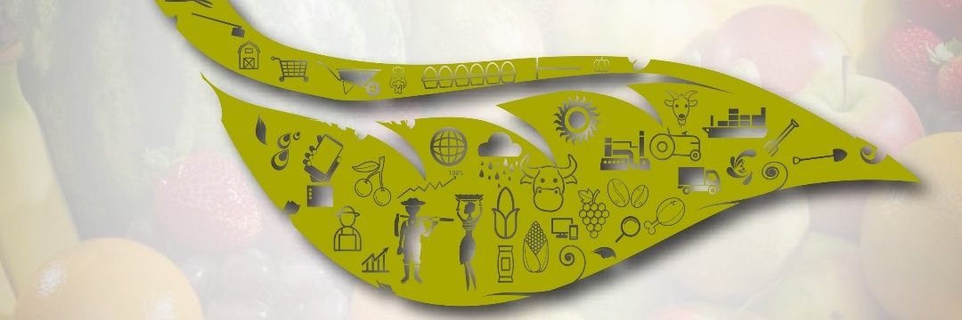 Mavuno AgSolutions banner