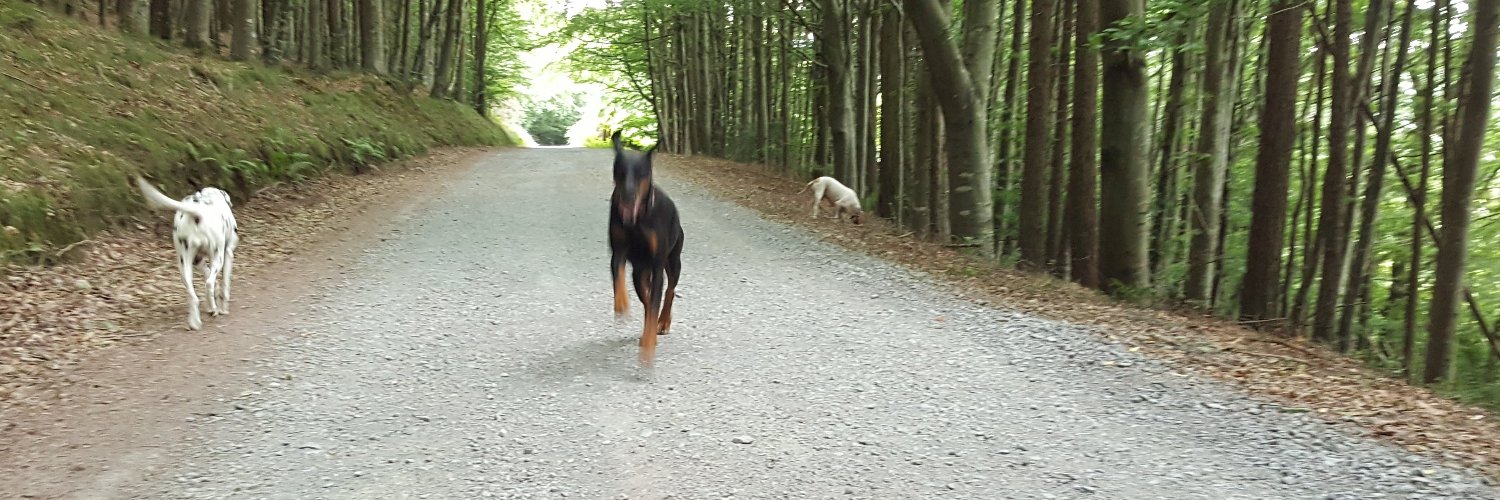 Her Mama ❤️ 🌱🏳️‍🌈🇸🇰🇨🇿🇺🇦🇺🇲🇮🇱🇪🇺❤️ banner