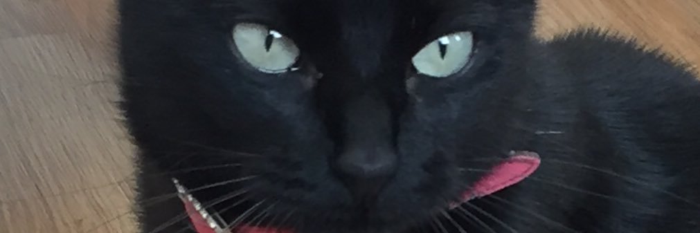 larasunnyday's profile banner image