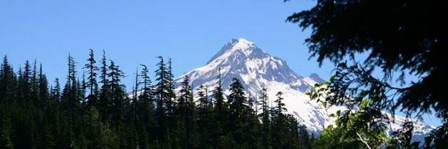 oregonbbguild's profile banner image