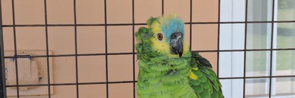 needvi Profile Banner