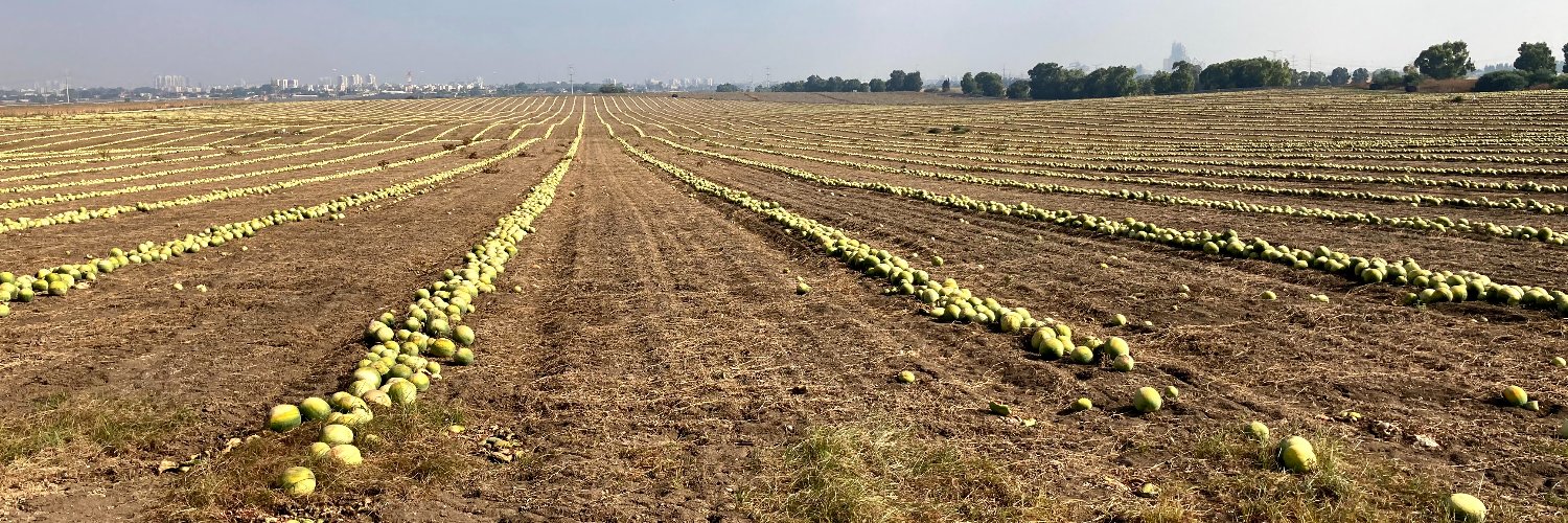 Jason Friedman banner