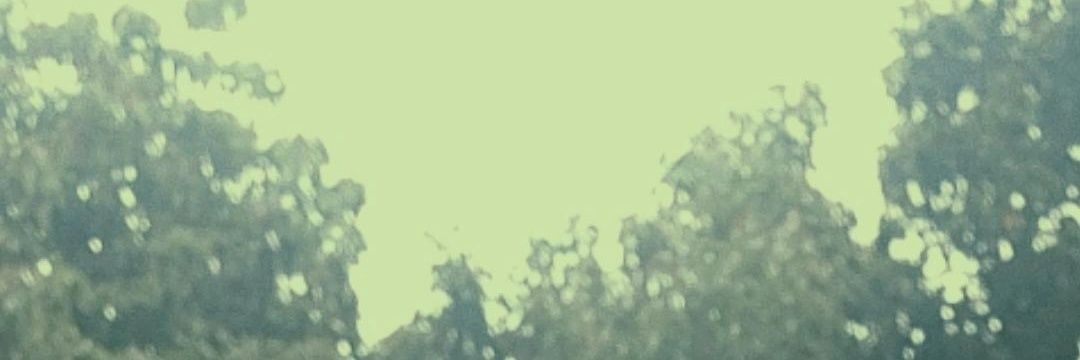 enzo . banner