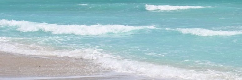 Ronj77's profile banner image