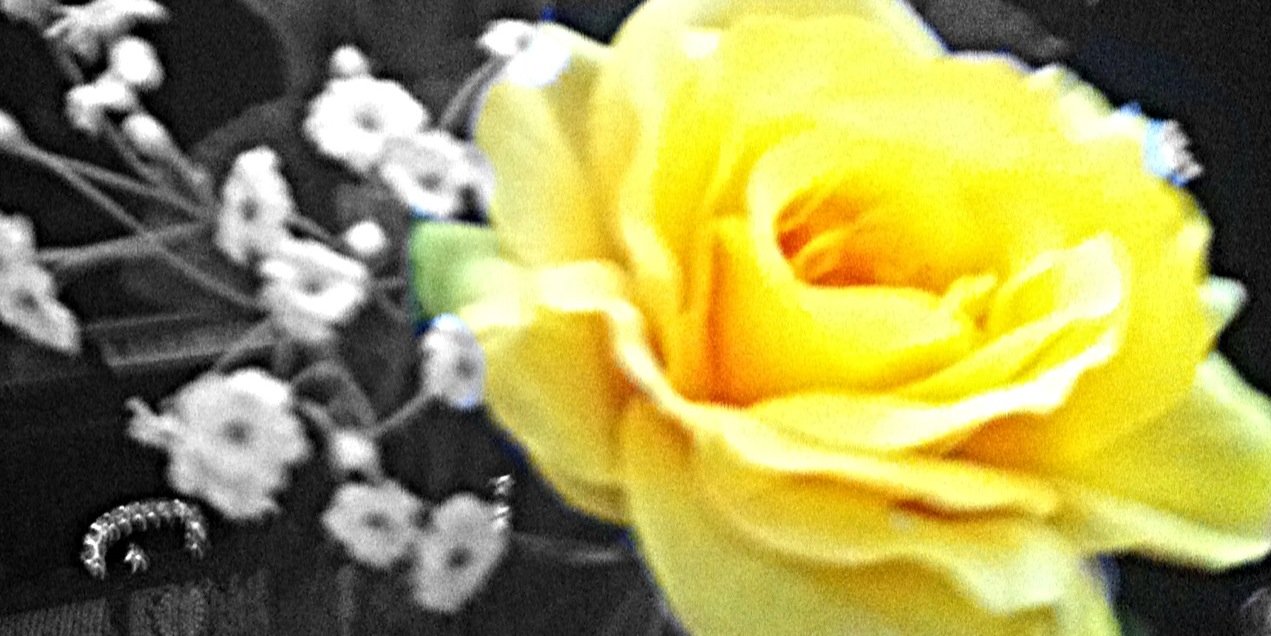 ab_rosa94's profile banner image
