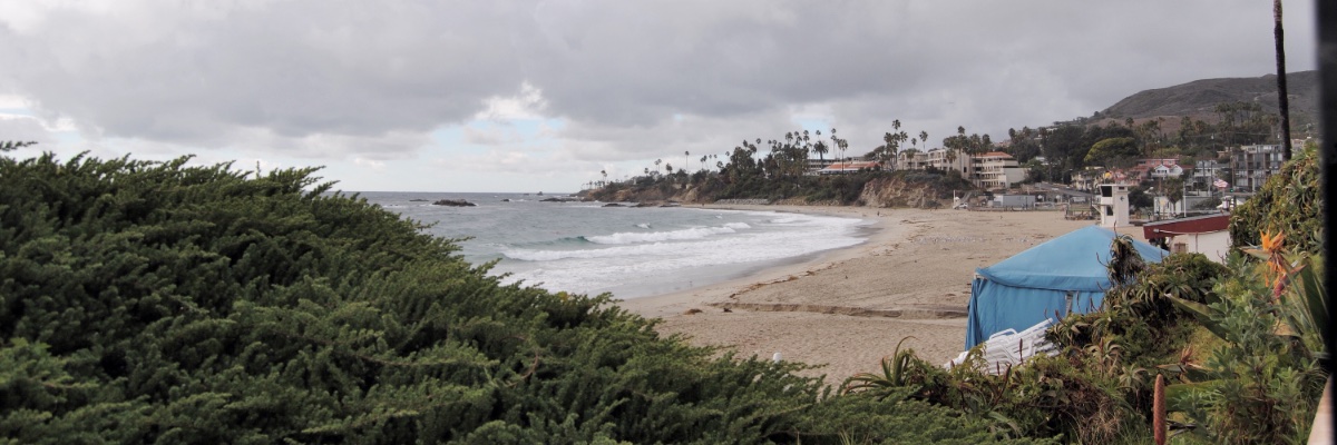 Mare45615625's profile banner image