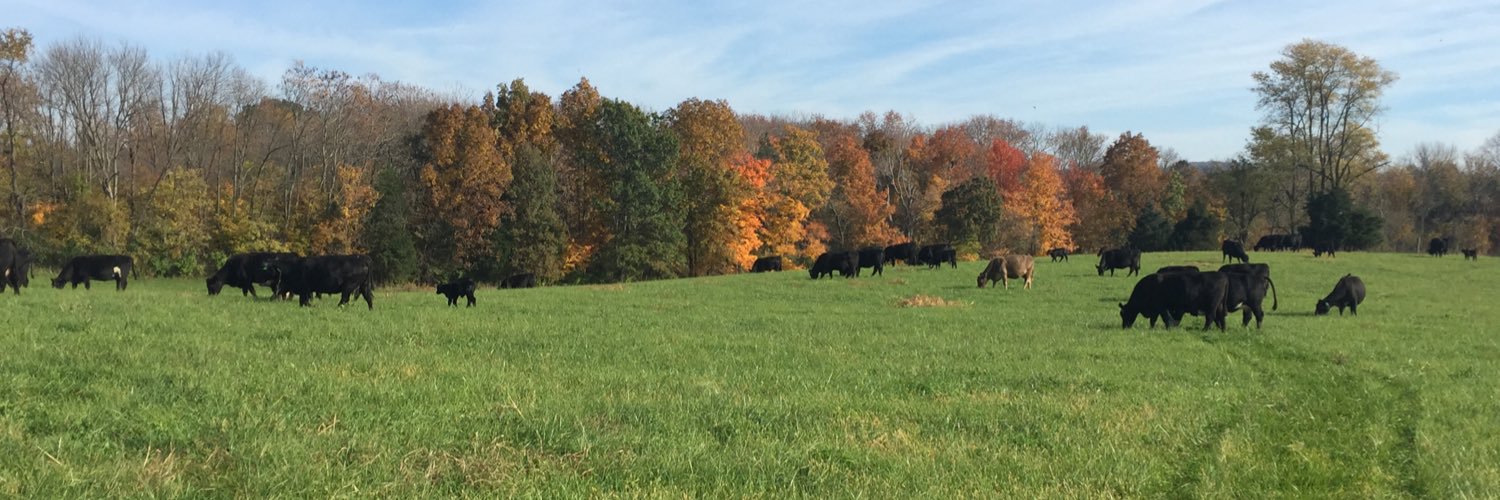 Jared Carpenter banner