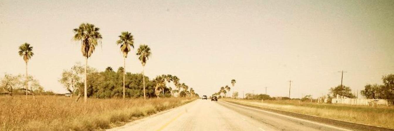 Danielle Chavez Treviño banner