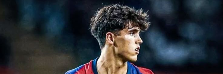 elwidako's profile banner image