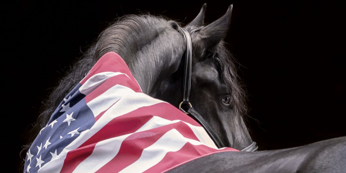 taf1213's profile banner image