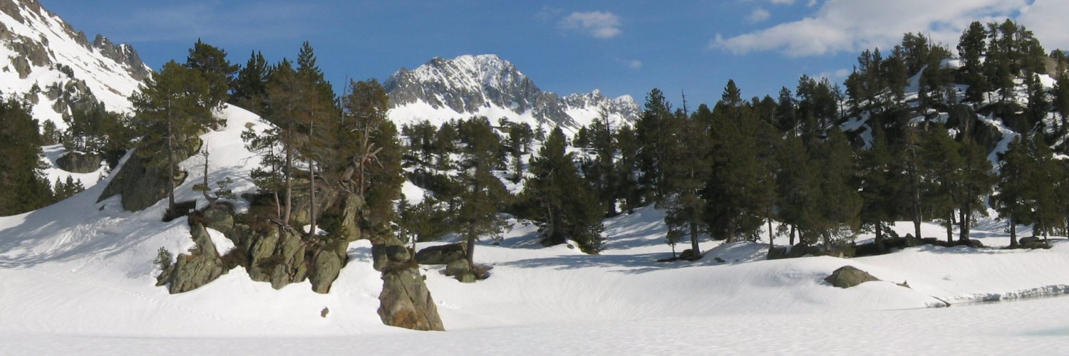 Aurélien Ribes banner