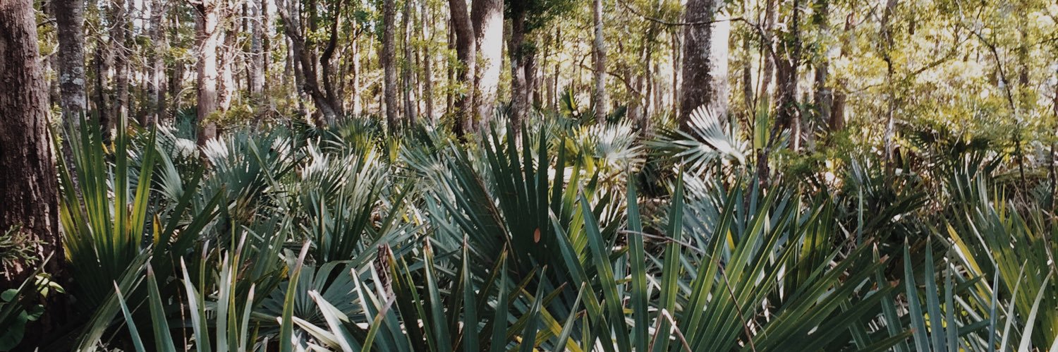 Joshua Robinson banner