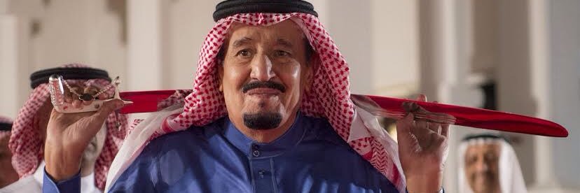 shamali_sa's profile banner image