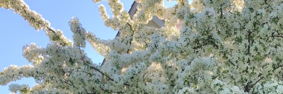 BeccaBuchholz's profile banner image