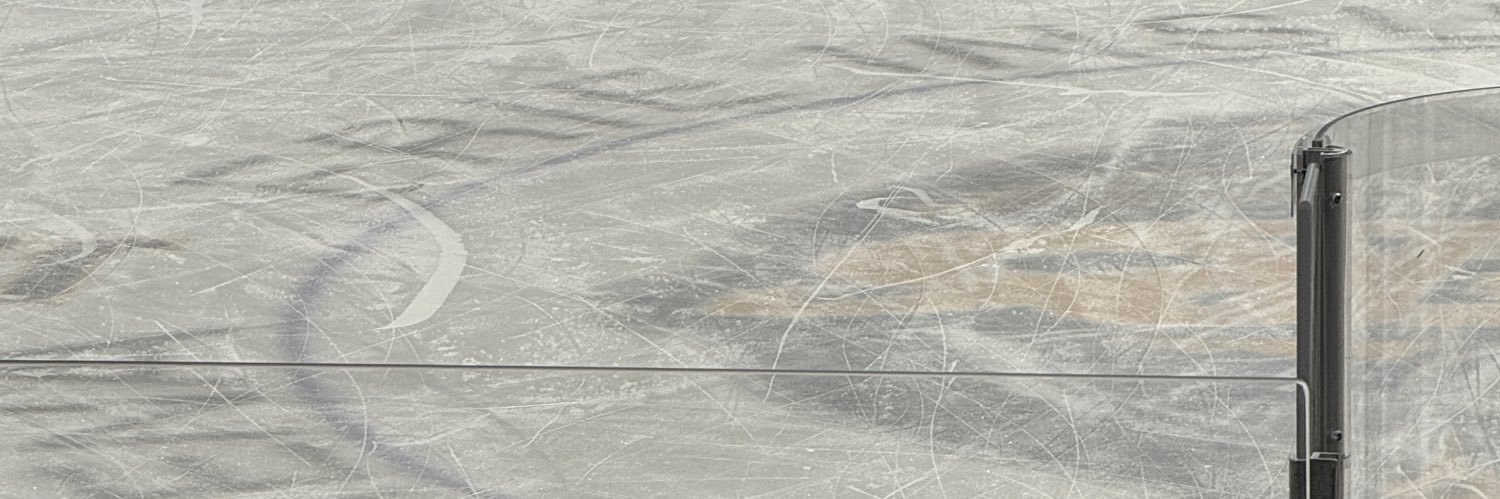 hazycinnamon's profile banner image