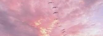 k💎 banner