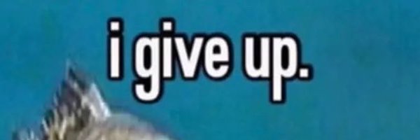 sokexc Profile Banner