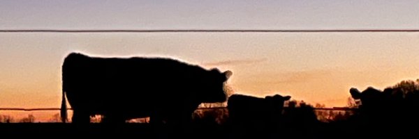 coleman_peanut Profile Banner