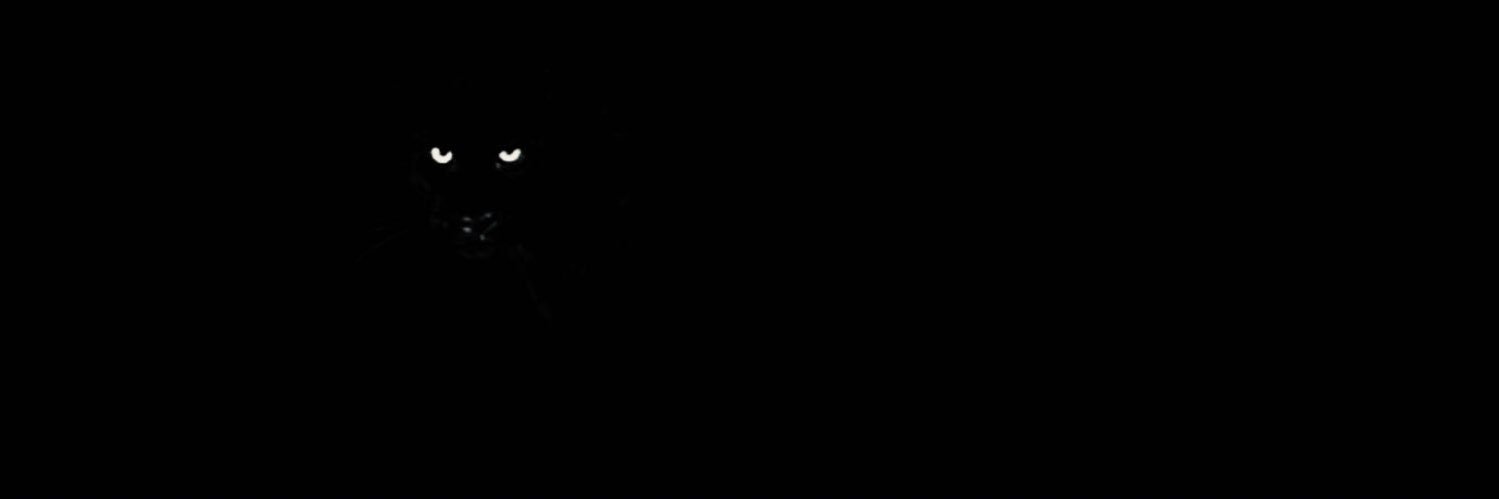 2iarr's profile banner image