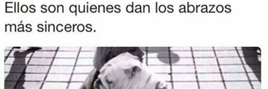 _aralopez's profile banner image