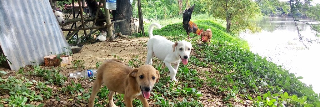 Keith Redacted🇵🇭 banner