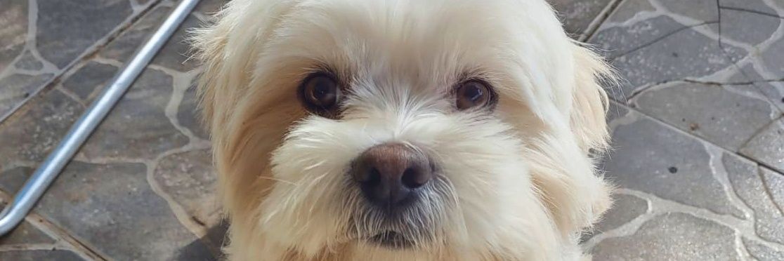 t_caroolzinha's profile banner image